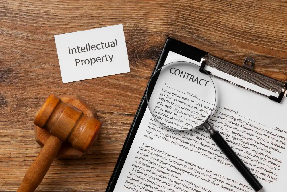 Copyright Infringement Laws and Anti-Piracy Measures